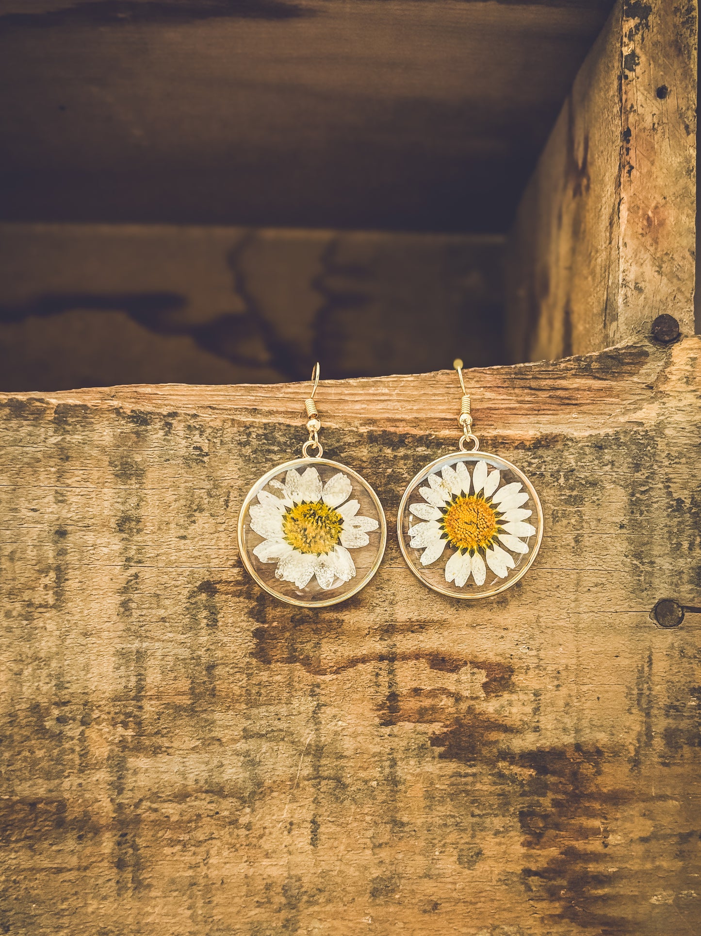 Beautiful Gold Daisy Earrings