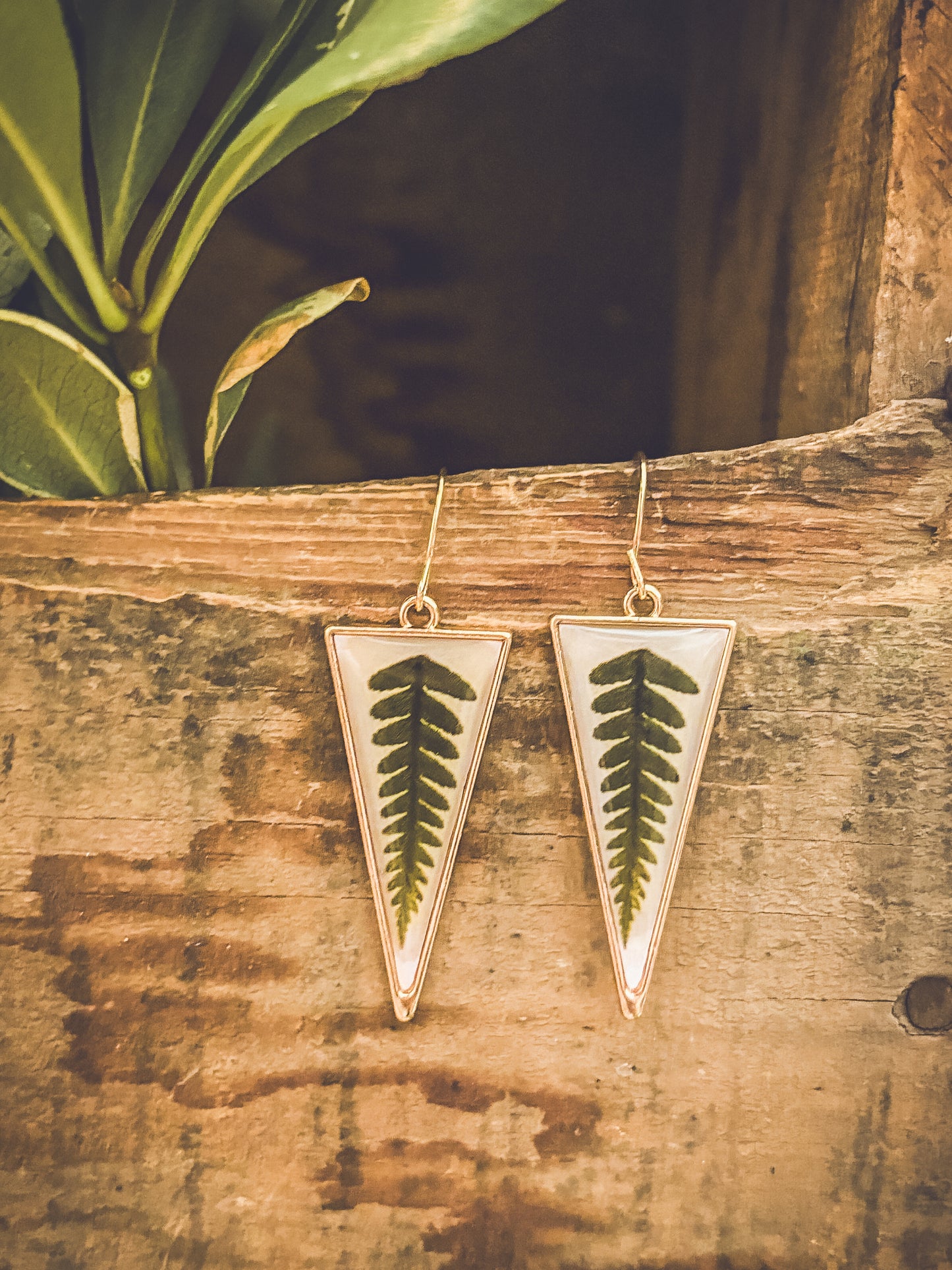 Two gold-framed triangular earrings, each encasing a vibrant green fern leaf, hang against a rustic textured wooden background with soft-focus foliage in the upper left