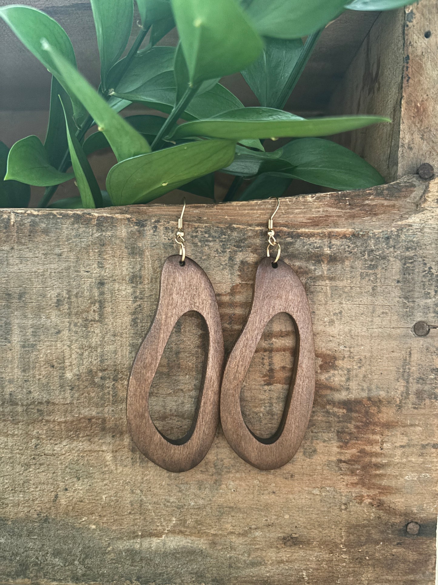 A pair of dark brown organic-shaped wooden earrings with inner cutouts and gold hooks hanging against weathered rustic wood with vibrant green plant leaves above
