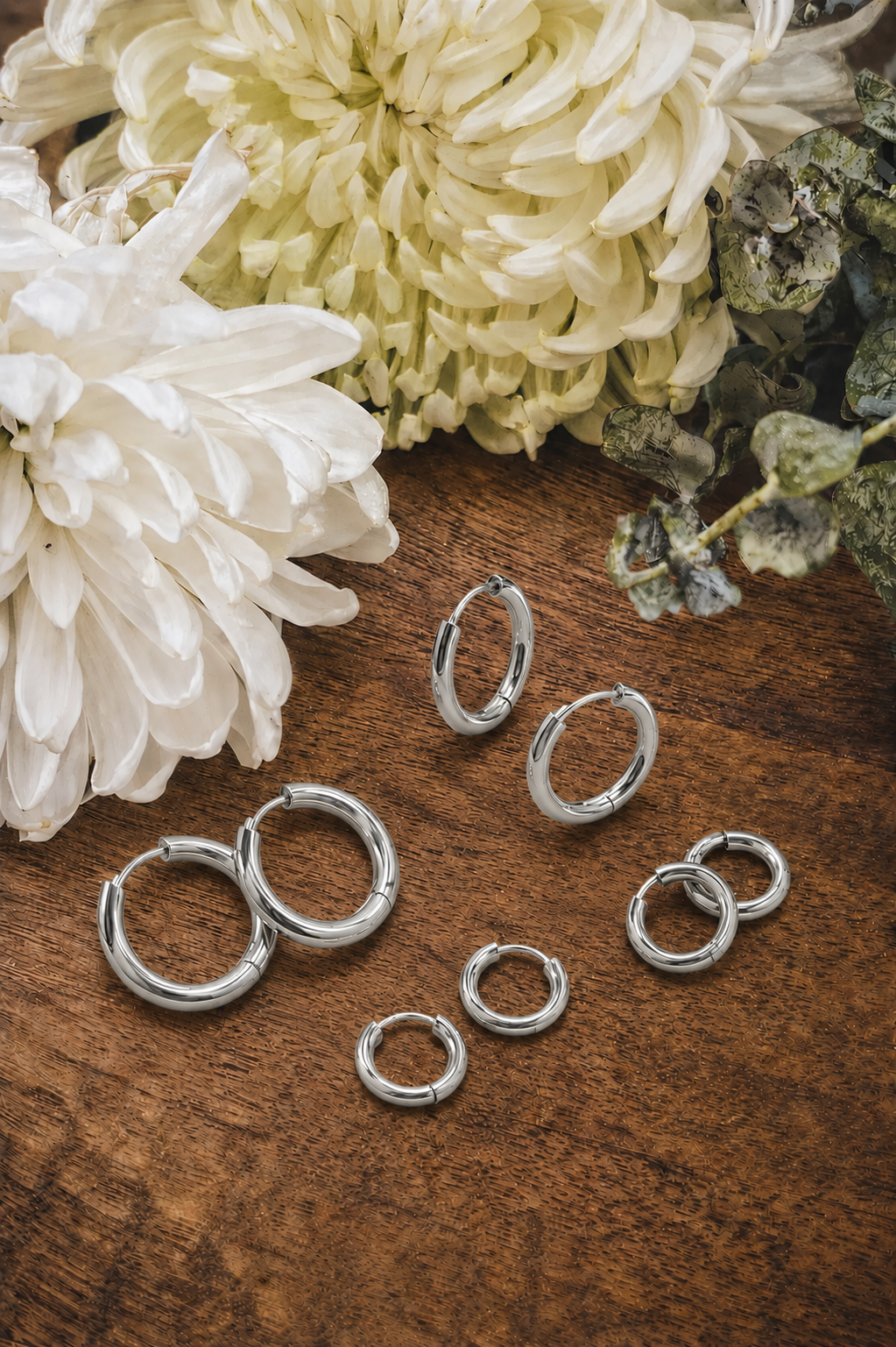 Shiny silver hoop earrings of various sizes displayed on a rich brown wooden surface accented with full white chrysanthemum flowers and green eucalyptus branches