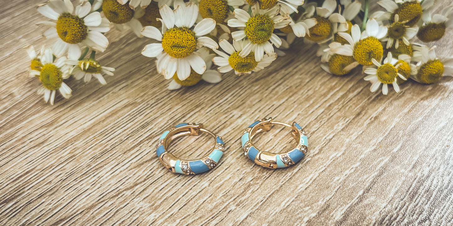 Beautiful Small Blue and Crystal Hoop Earrings