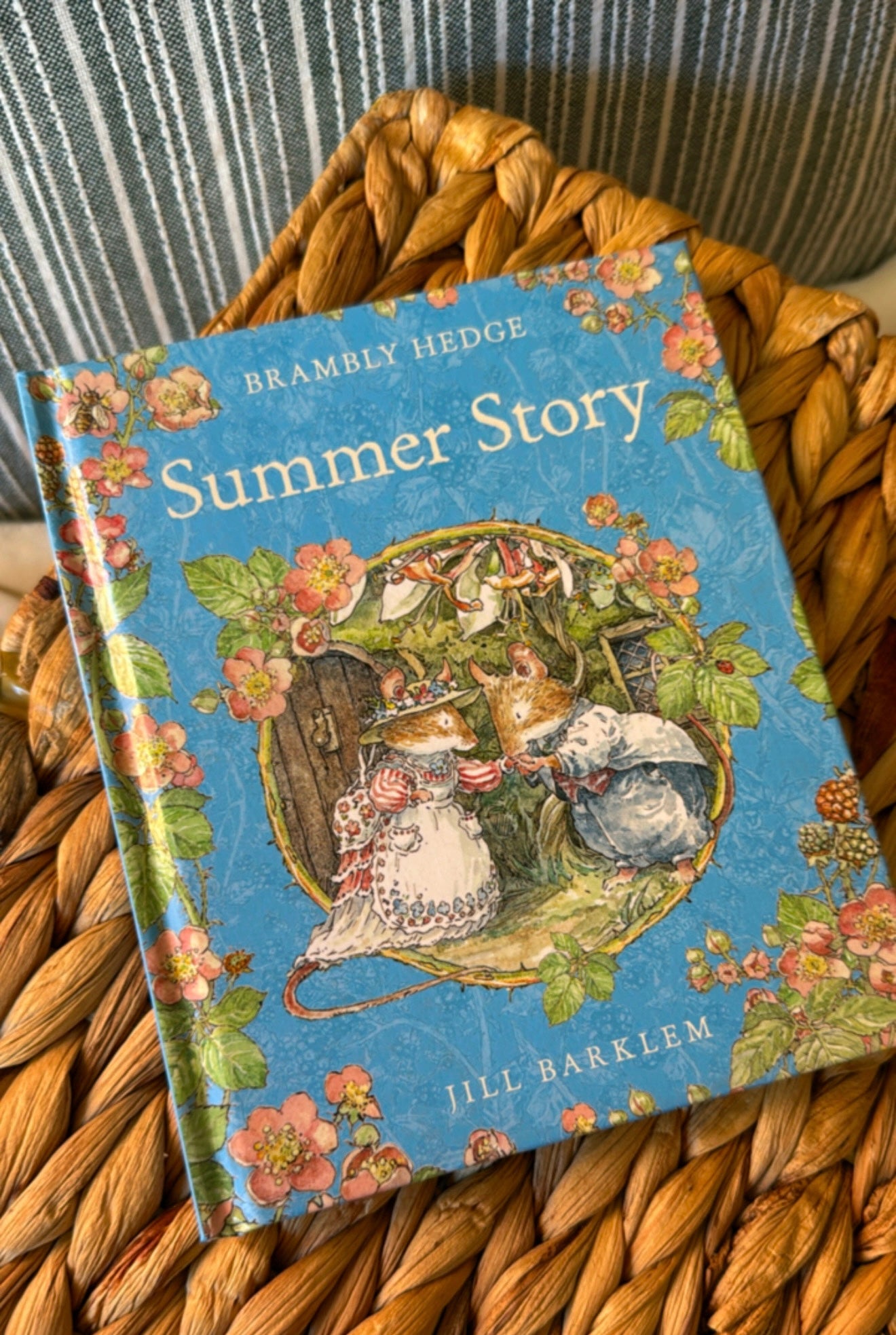 Summer Story: Jill Barklem