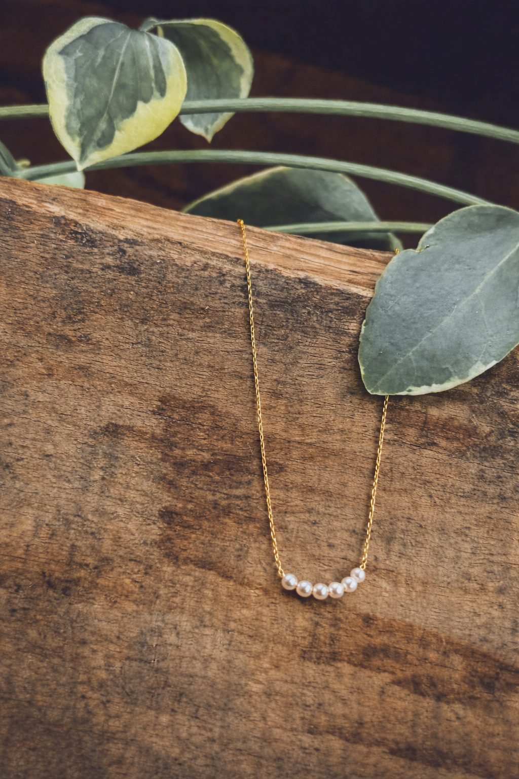Photography of a delicate gold chain necklace with seven small white pearls, gently curved on a rustic wooden plank, accented by green variegated leaves
