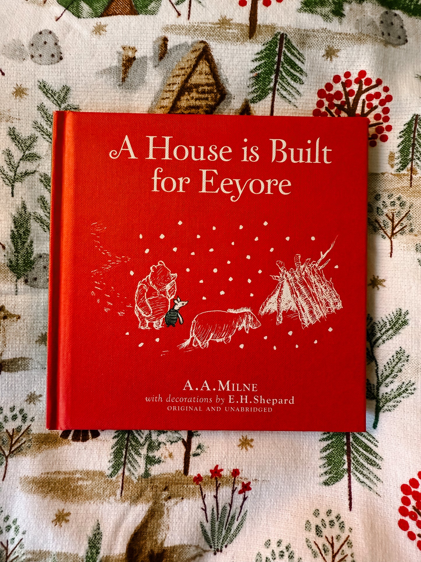 Winnie-The-Pooh: A House Is Built For Eeyore