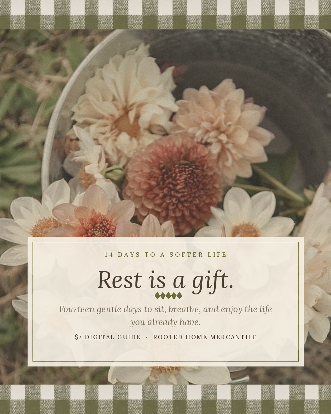 14 Days to a Softer Life: A Faith-Filled Slow Living Guide (Digital Download)