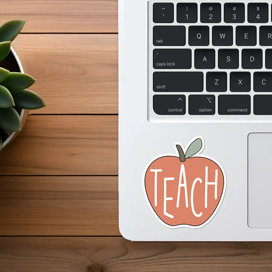Photograph of a salmon-pink apple sticker with 'TEACH' in white letters affixed to a silver laptop next to a green succulent on a light wooden desk