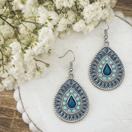 Beautiful Blue Drop Earrings